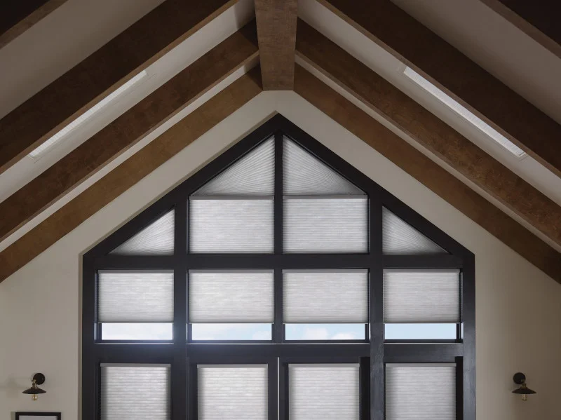 Skylight Cellular Honeycomb Light White Sheer Ceiling